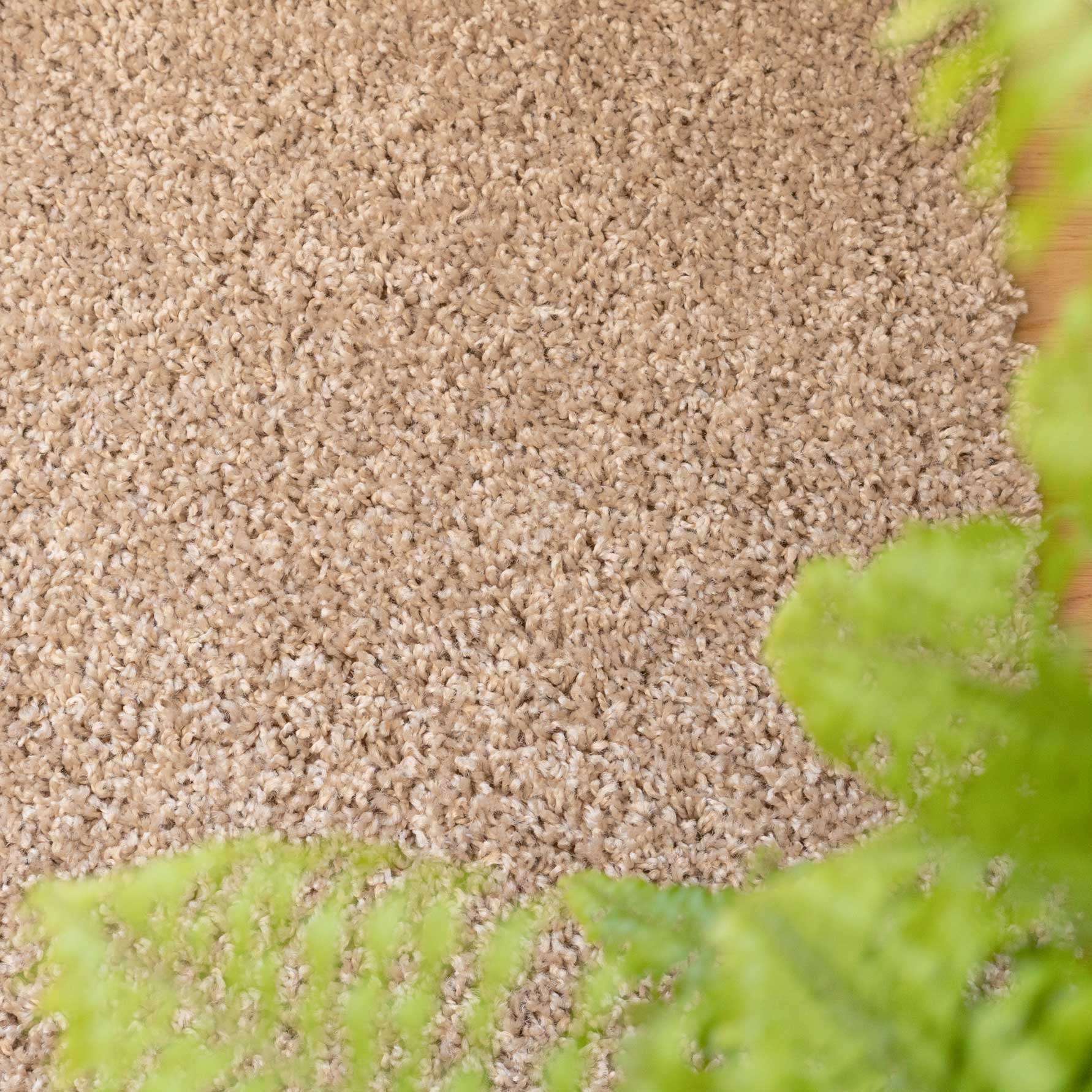 Oatmeal Shaggy Runner Rug - Image 2