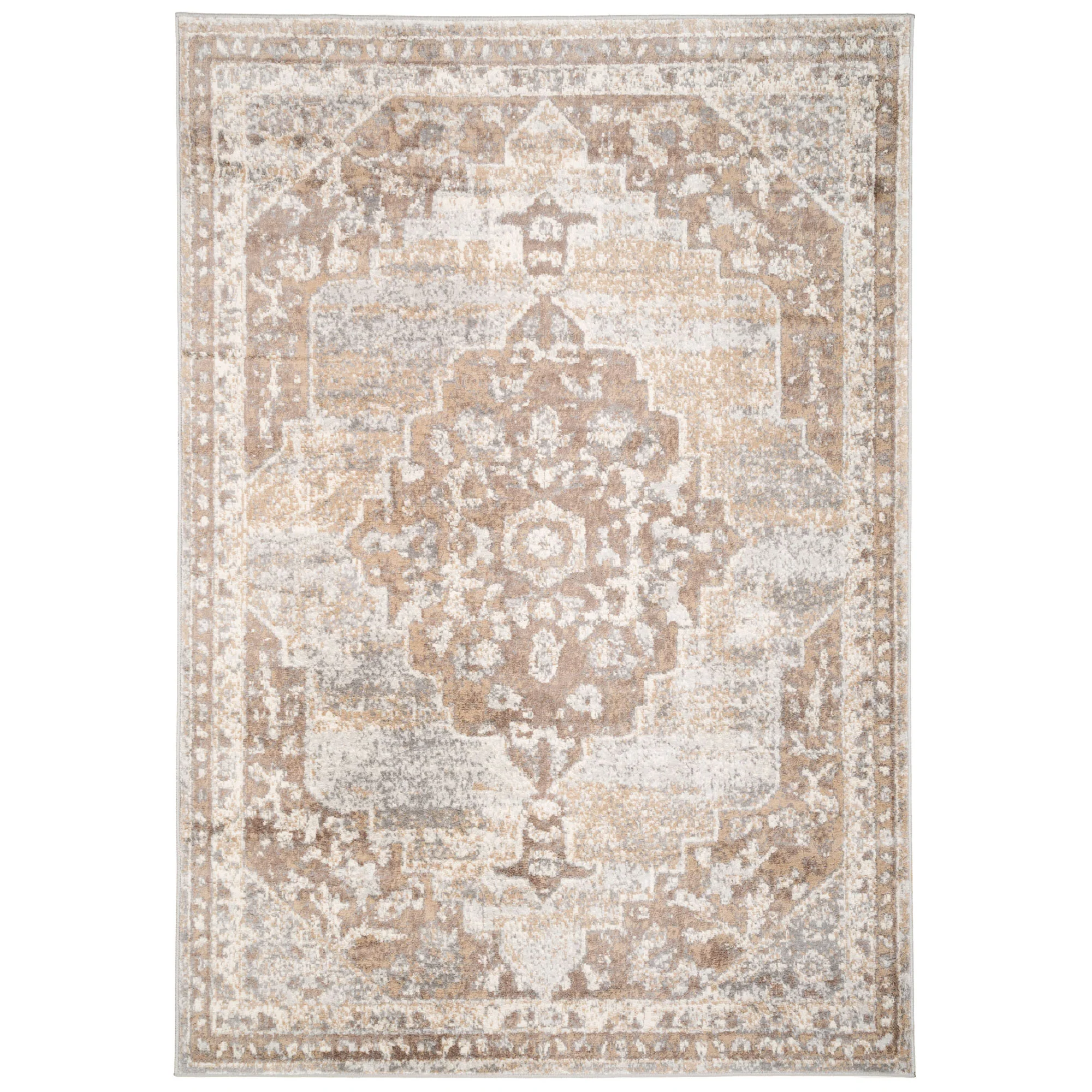 Traditional Distressed Chic Beige Area Rug