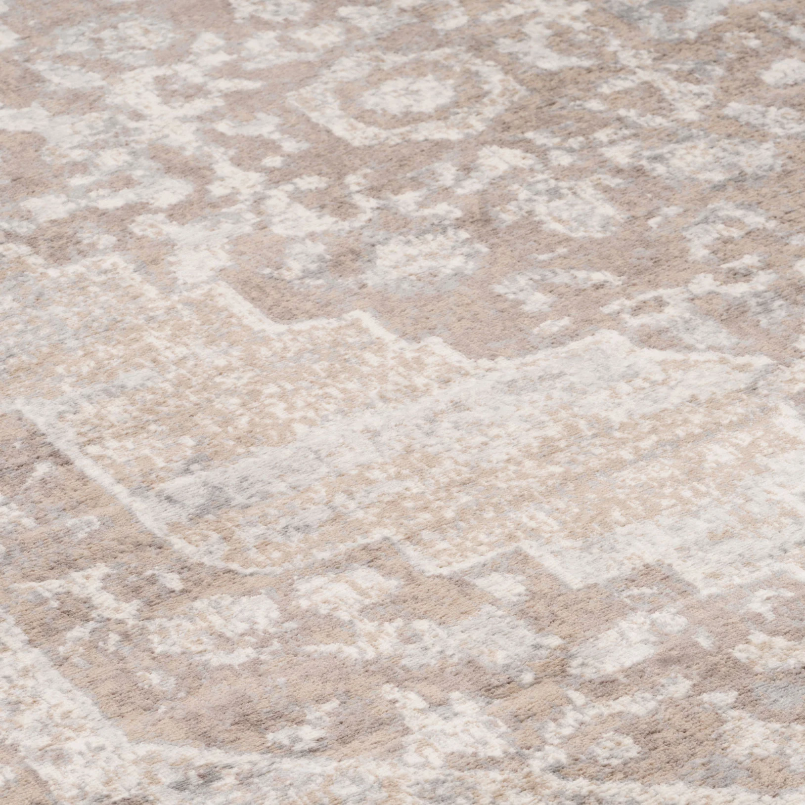 Traditional Distressed Chic Beige Area Rug - Image 5